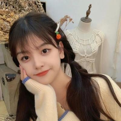 迷你特工队之拯救恐龙王